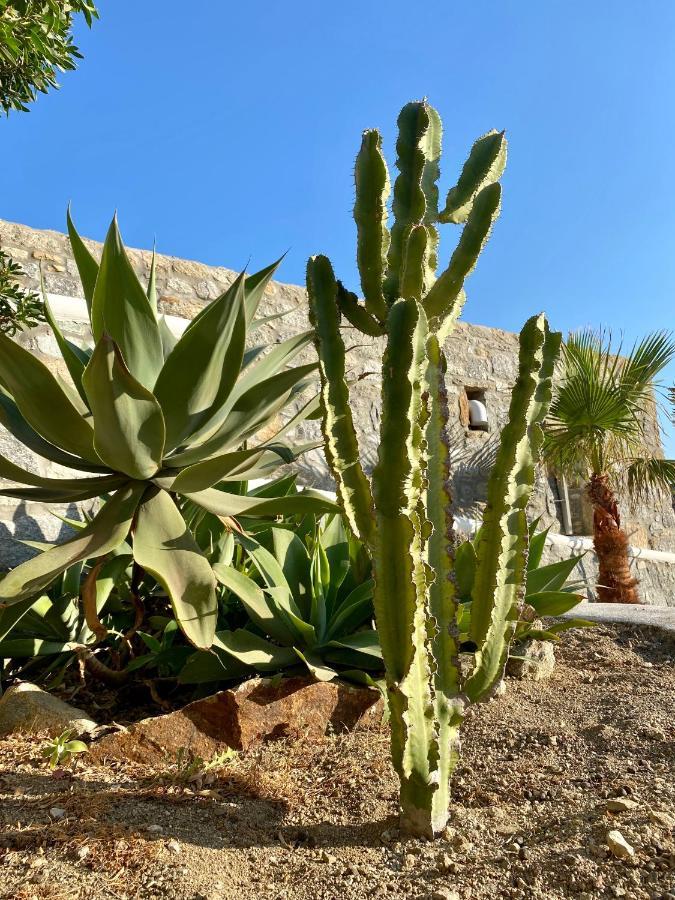 Sensus Mykonos Kalafati Exterior foto